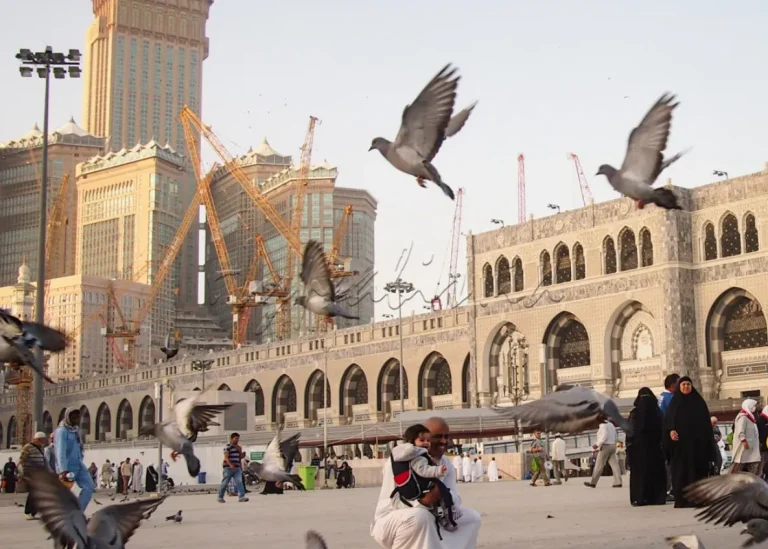 Doa Ketika Melihat Burung Merpati di Tanah Haram